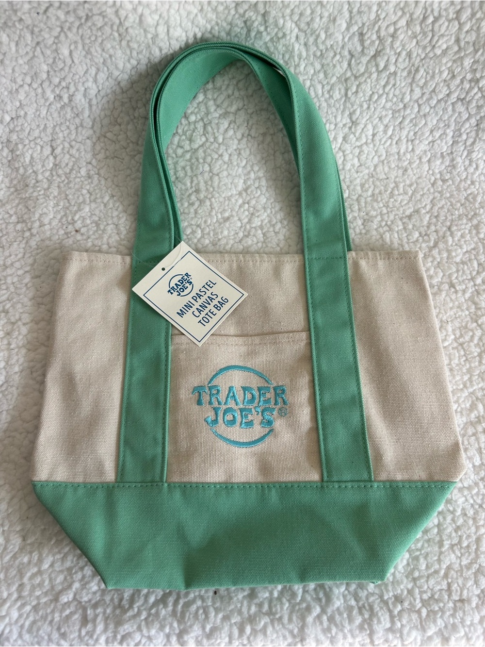 Trader Joe's Mini Pastel Canvas Tote Bag in Mint